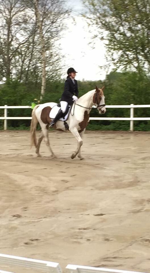 Pinto Aston A Kila billede 26