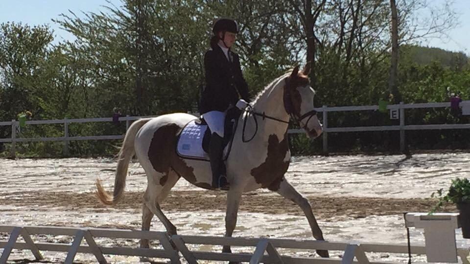 Pinto Aston A Kila billede 32