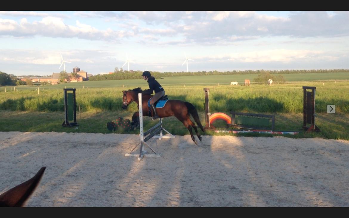 DSP Bæklunds Camikka billede 7