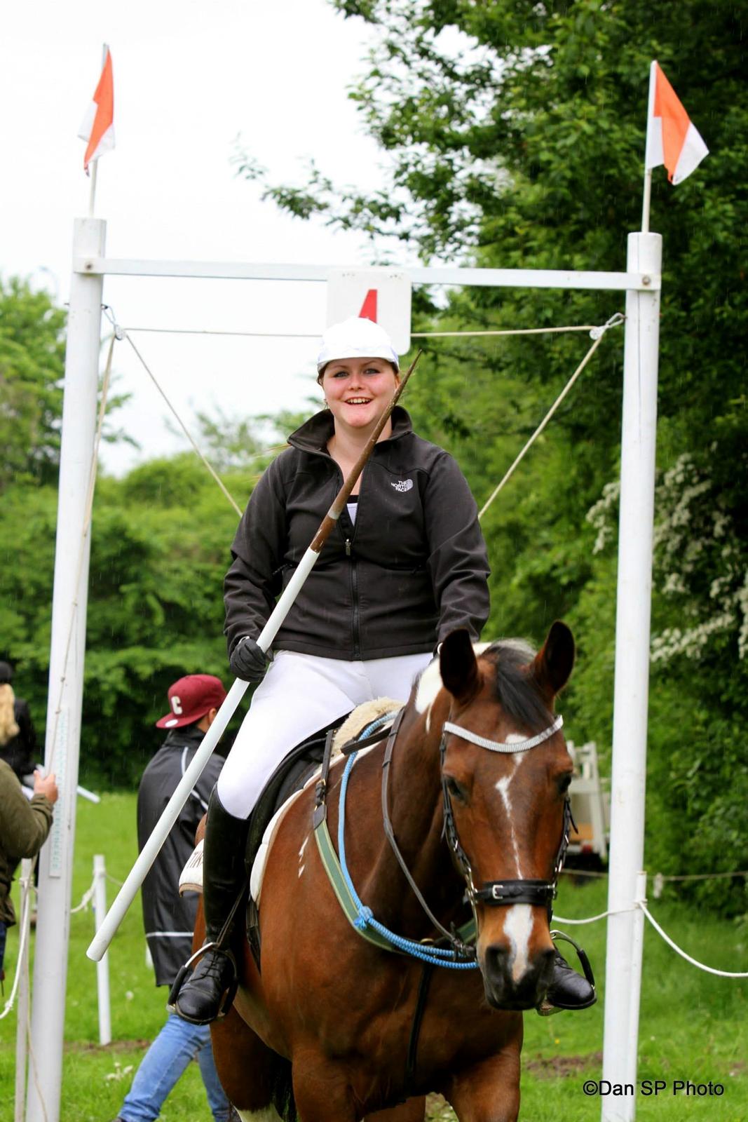 Pinto Thiamo - Hans første ringridning! og han var et pragtekemplar. 2015 billede 4