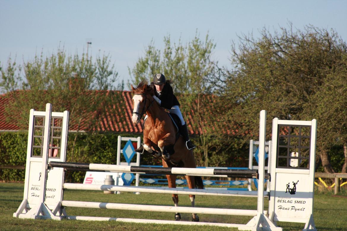 Hollandsk Sportspony Jimmie - Distriktstævne i Nordthy - Debut i LB* for hest billede 8