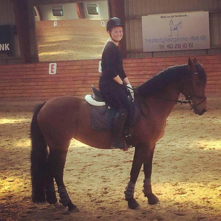 DSP Shamrocks Massa E. Cozzile  - Massa og ejer Signe billede 12