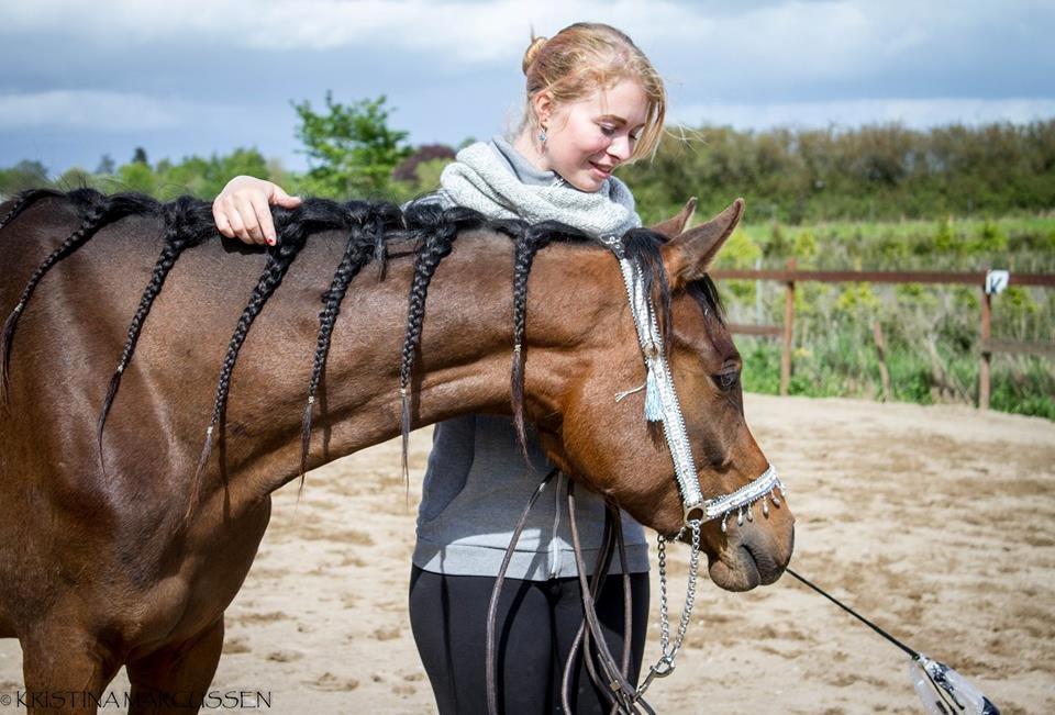 Arabisk fuldblod (OX) HH Eleganzia billede 16