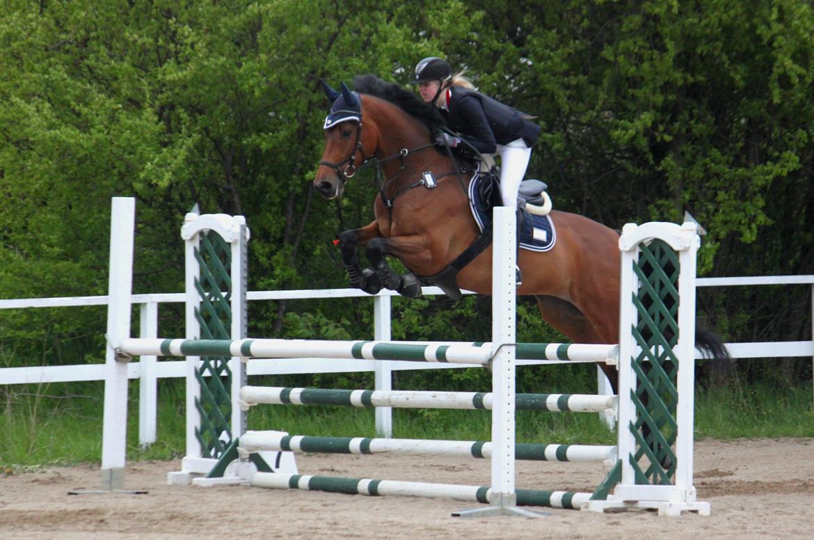 Dansk Varmblod Storbjergs Cassiopeia RDS - Louise & Cassio i LC med 0 fejl til deres tredje stævne sammen :) D. 9-Maj-2015 billede 7