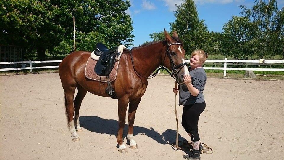 Westfaler Eskoria billede 9