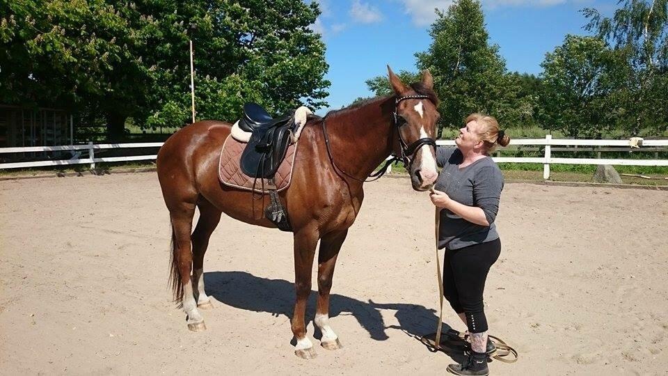 Westfaler Eskoria billede 10