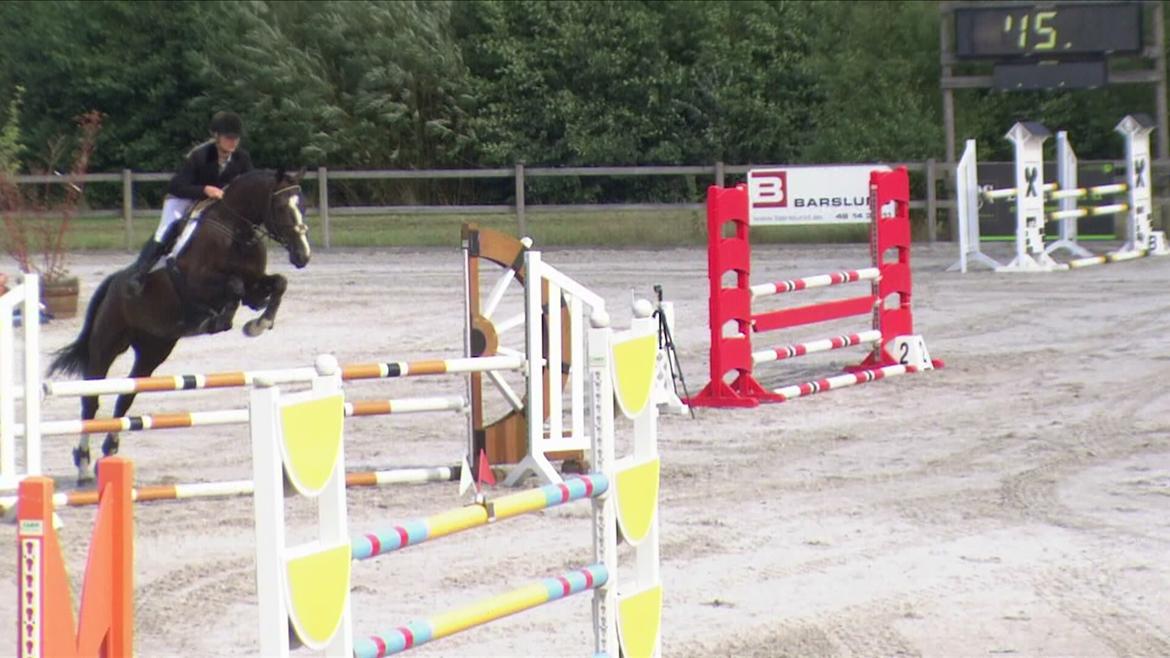 Dansk Varmblod Hair's Balouca - 4-års championat billede 18