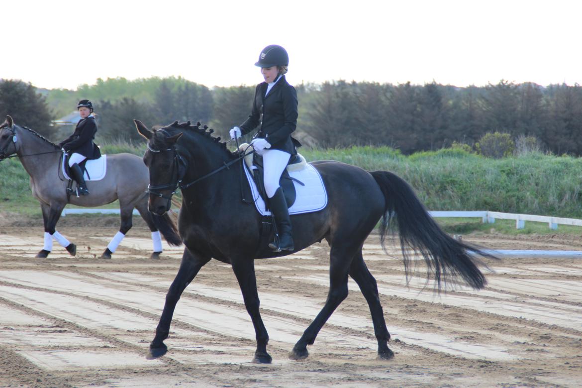 Oldenborg La&#180;vett - F&#248;rste st&#230;vne sammen d. 14/5-2015 i Hirtshals Rideklub:D billede 9