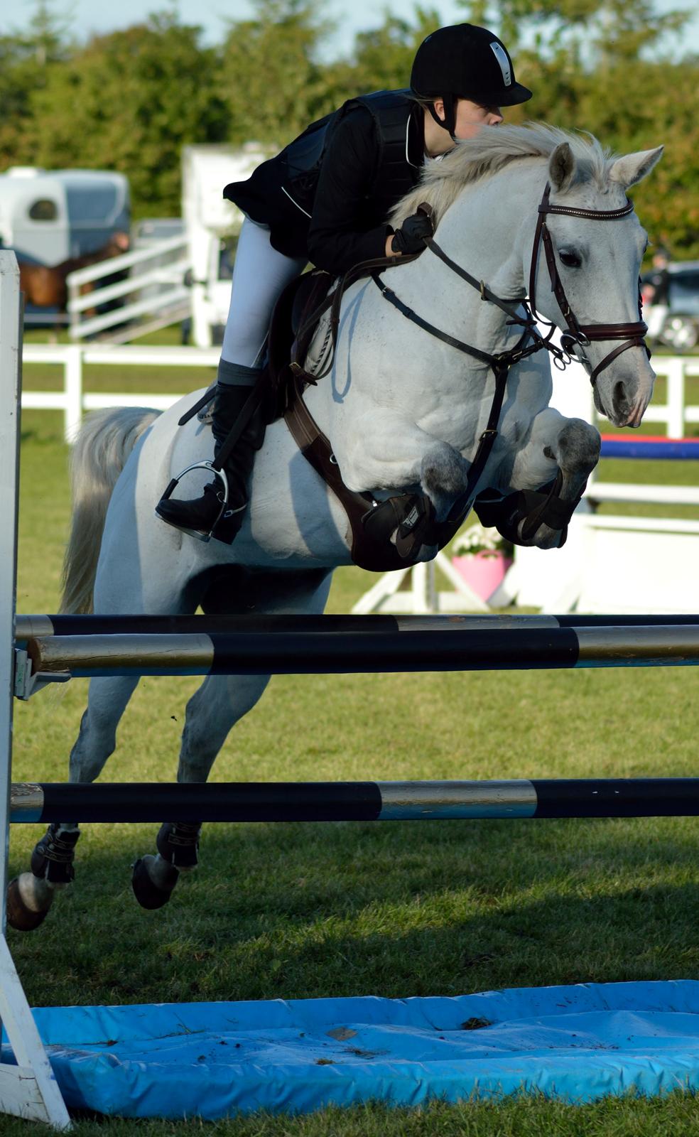 DSP Chanau Venture B-pony - MB i Bording - Fotograf: Josefine Randrup Jensen billede 17