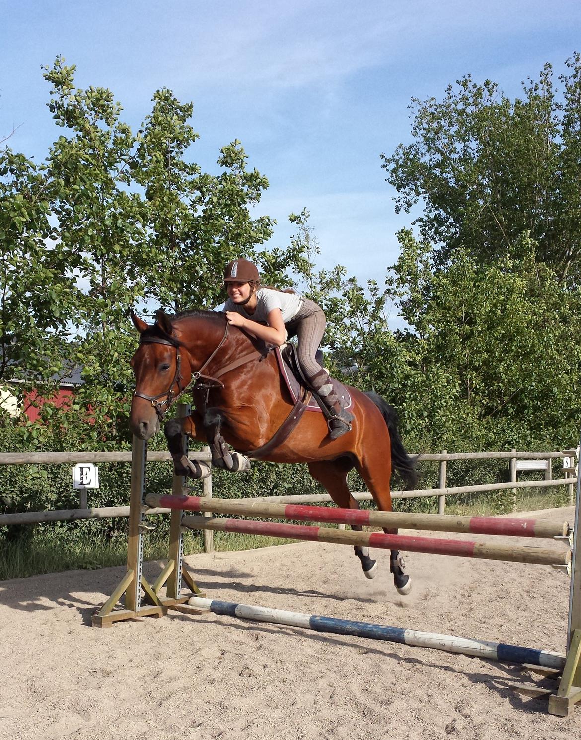 Holstener Kjærs Calando Power - Et fedt spring på 90 cm :-) billede 4