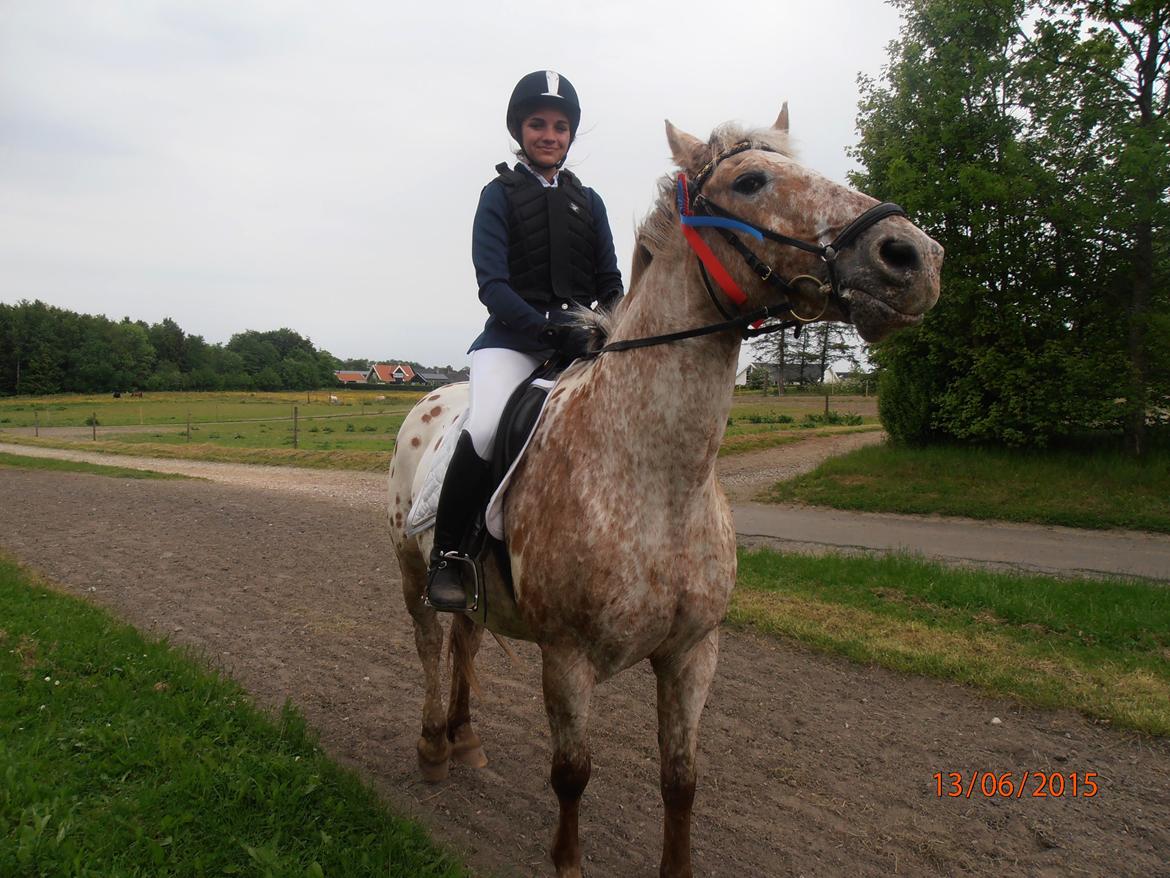 Knabstrupper Cocio  - Internt klubstævne ved Rosenholm Rideklub - 2 fejlfrie runder! ^^ billede 8
