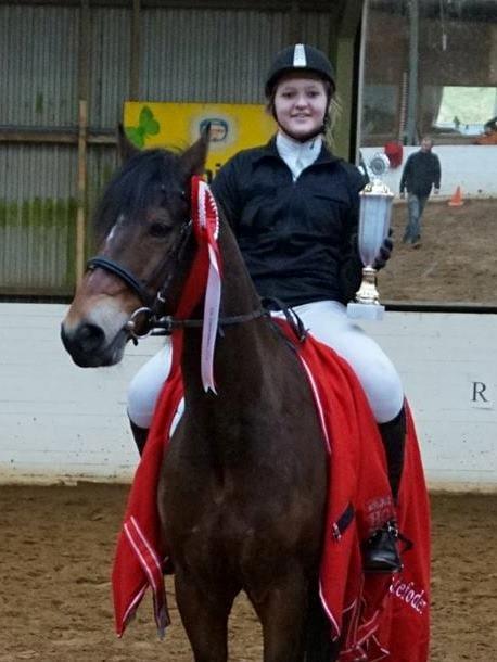 Connemara Mosetoftens Fighter billede 4