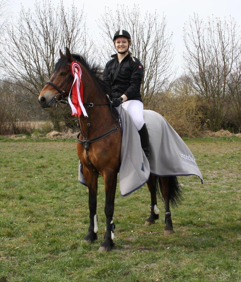 Connemara Mosetoftens Fighter billede 16