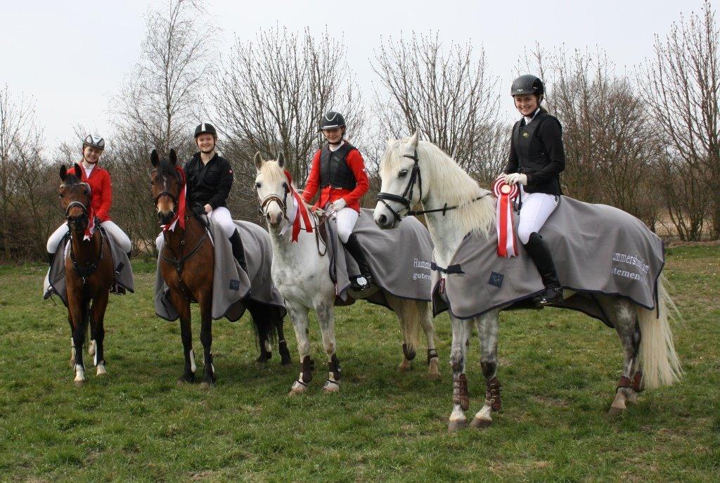 Connemara Mosetoftens Fighter billede 15