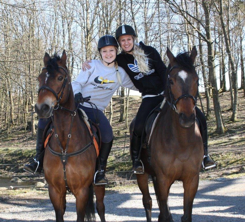 Connemara Mosetoftens Fighter billede 2