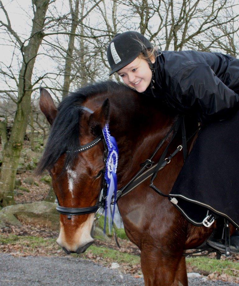 Connemara Mosetoftens Fighter billede 13