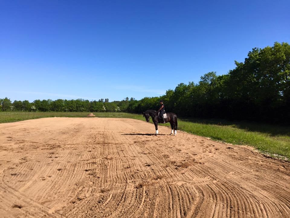 Anden særlig race Colardo billede 4