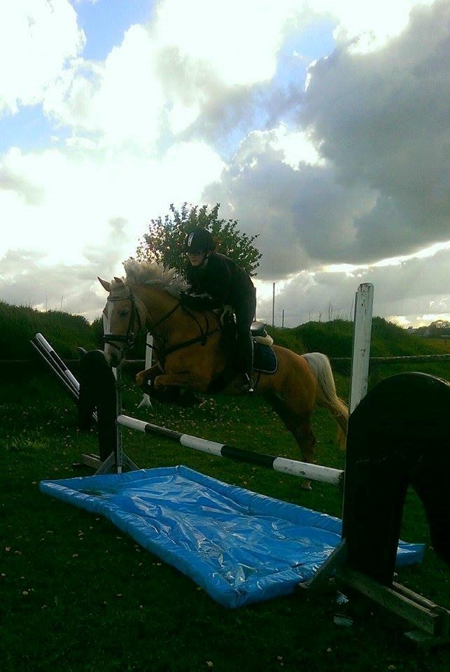 Anden særlig race Fenja billede 6