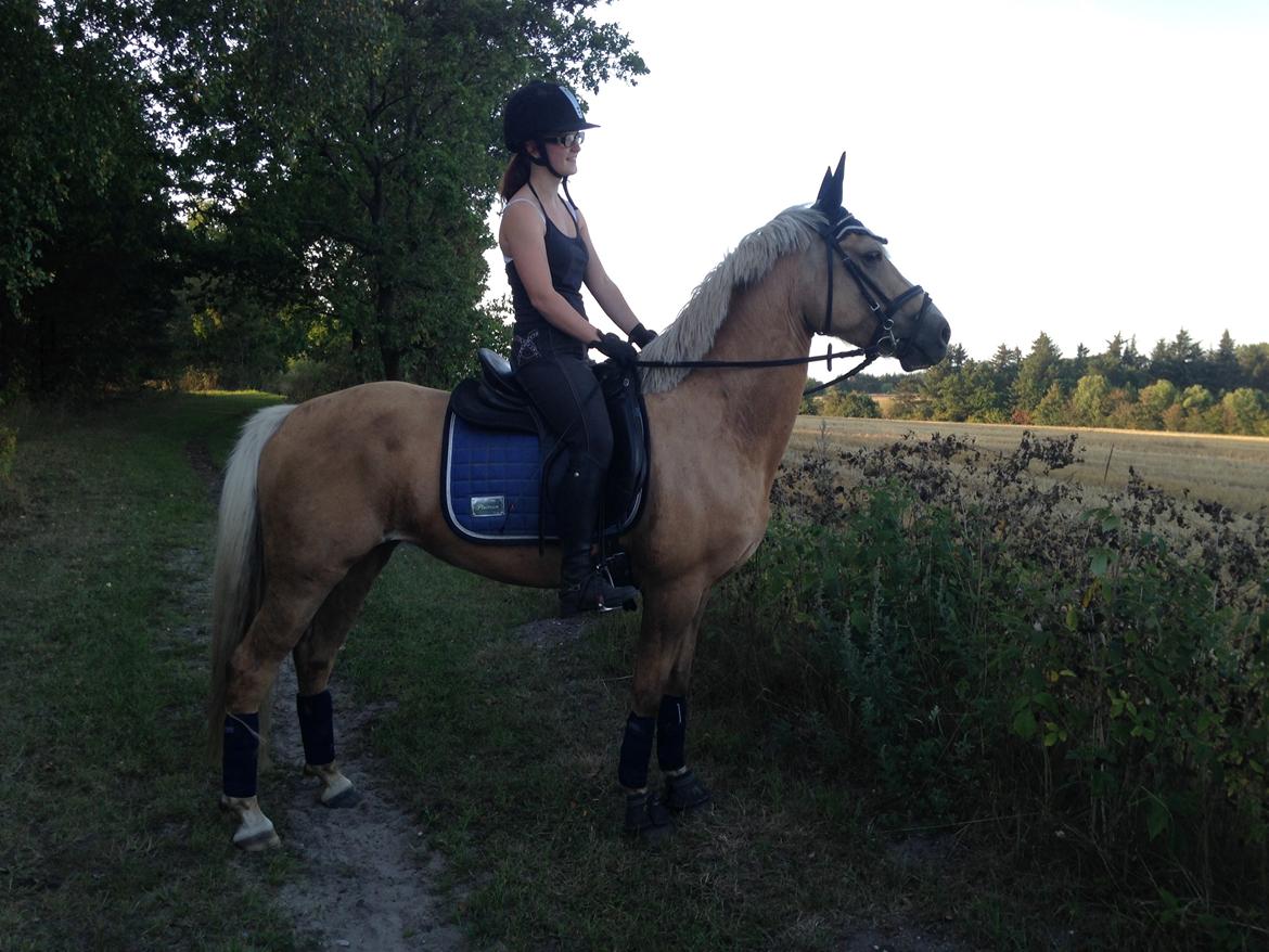 Anden særlig race Fenja billede 20