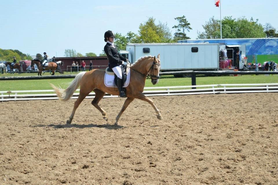 Anden særlig race Fenja - Ca - Photo billede 1