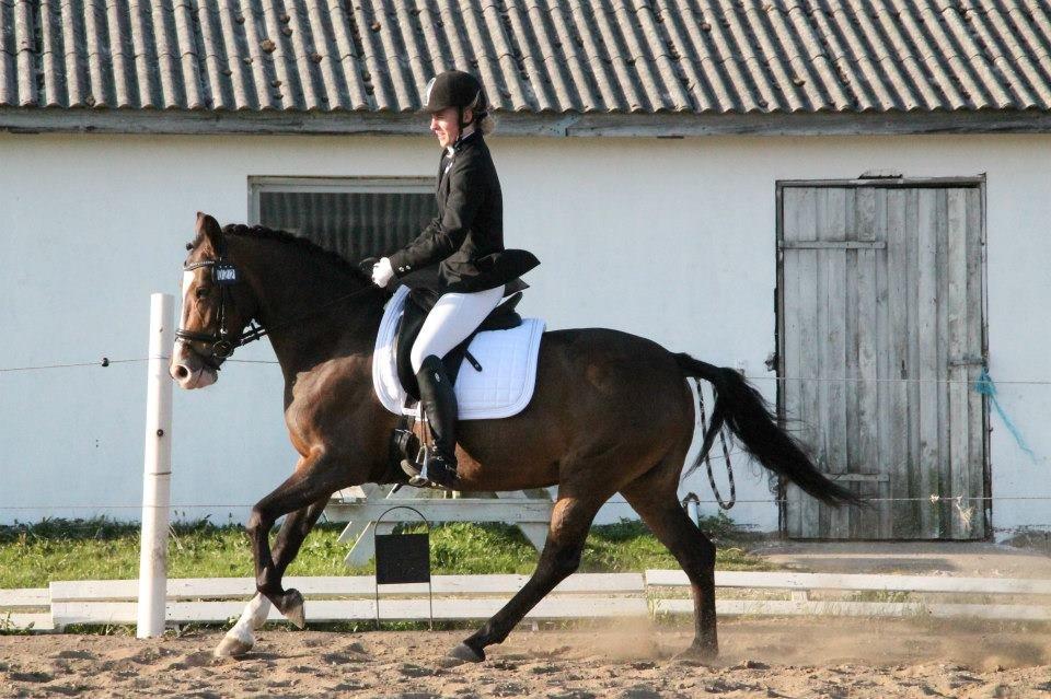 Anden særlig race Bonette  billede 3