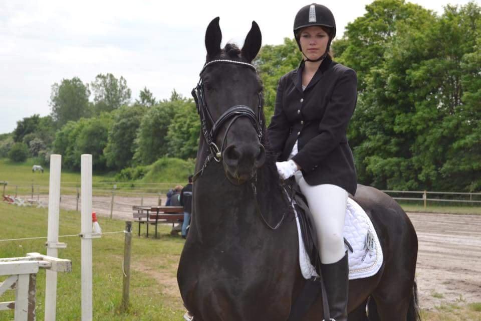 Frieser Van Helsing billede 5