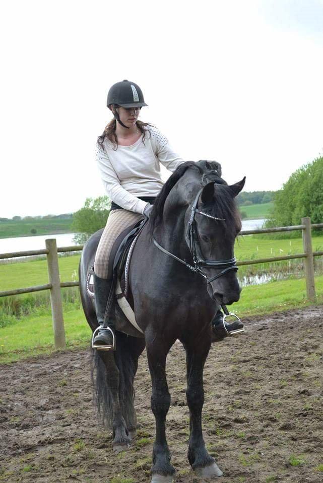 Frieser Van Helsing billede 4