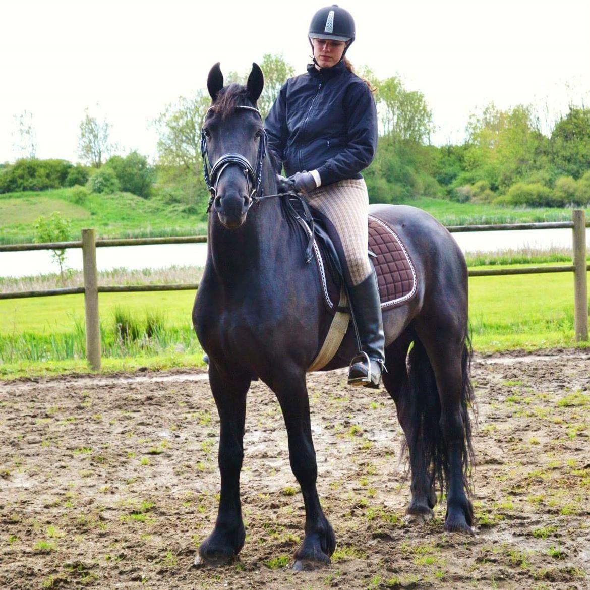 Frieser Van Helsing billede 1