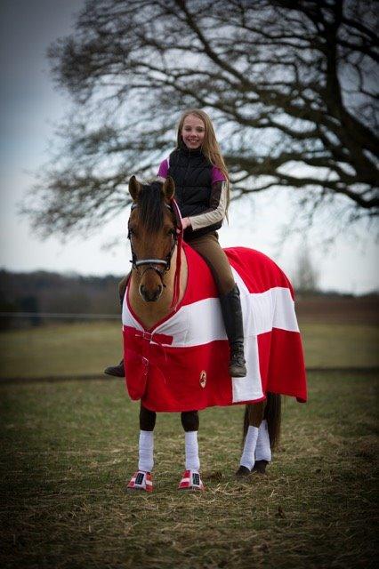 Anden særlig race Cheval Le Anton  - <3 billede 9