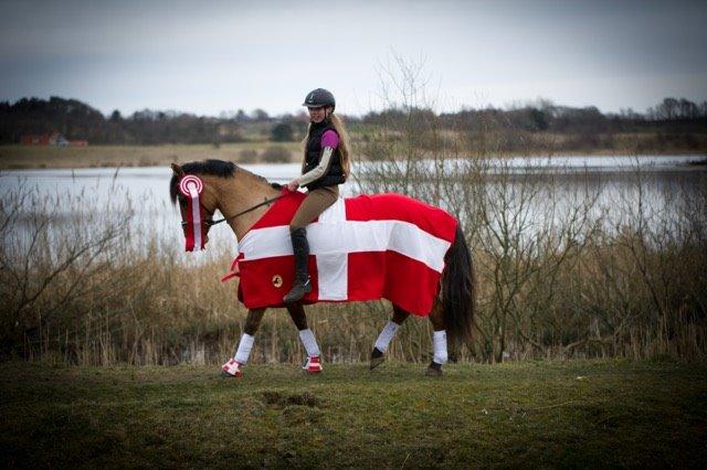 Anden særlig race Cheval Le Anton  - <3 billede 15