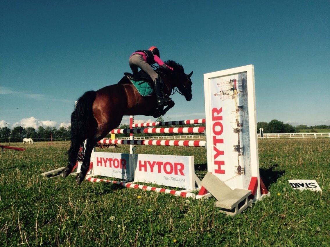 Connemara Ballycullen lass billede 9