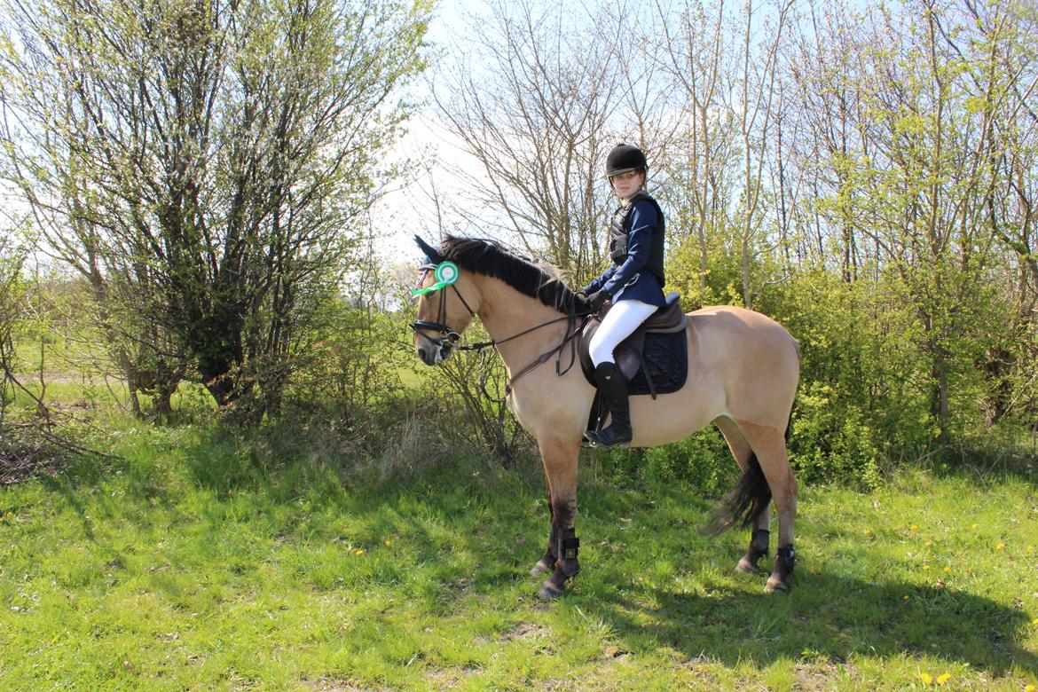 Anden særlig race Anne billede 4