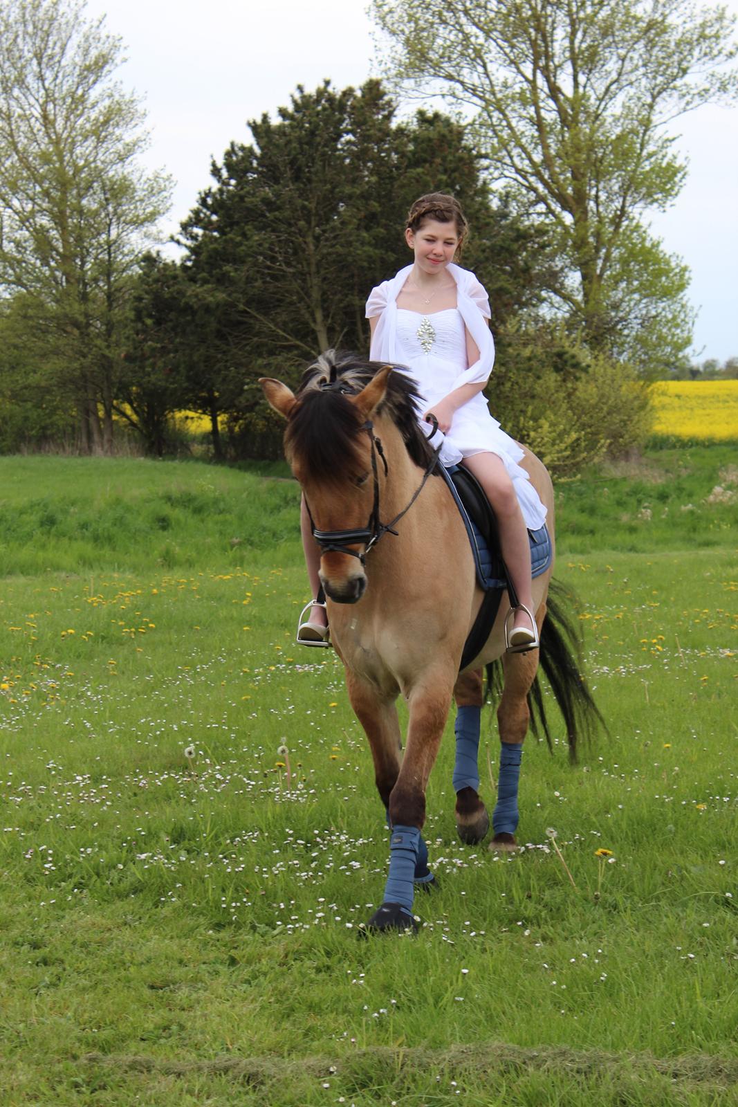 Anden særlig race Anne billede 5