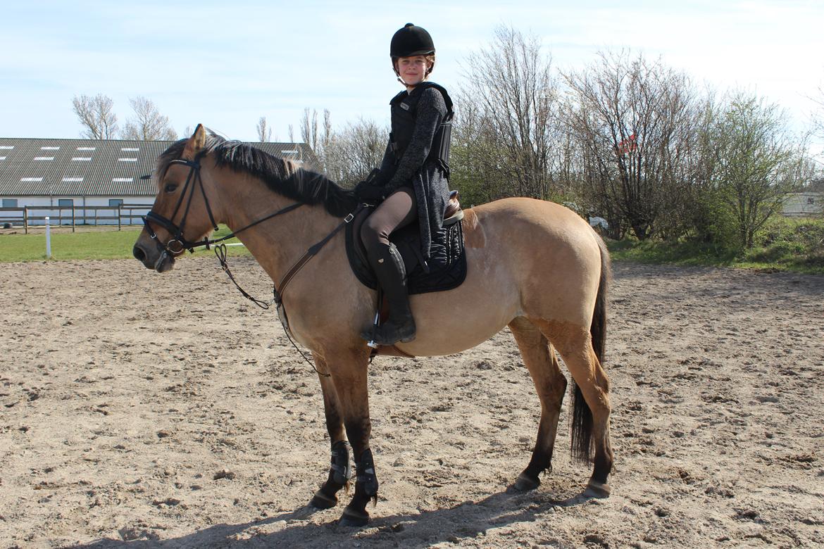 Anden særlig race Anne billede 16