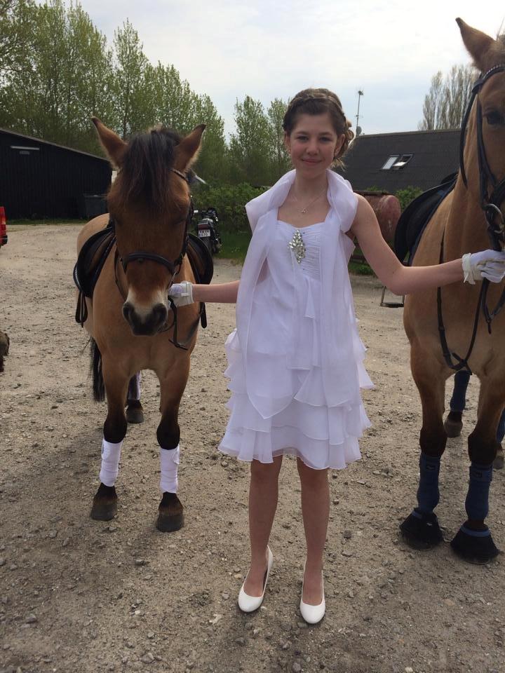 Anden særlig race Anne billede 18