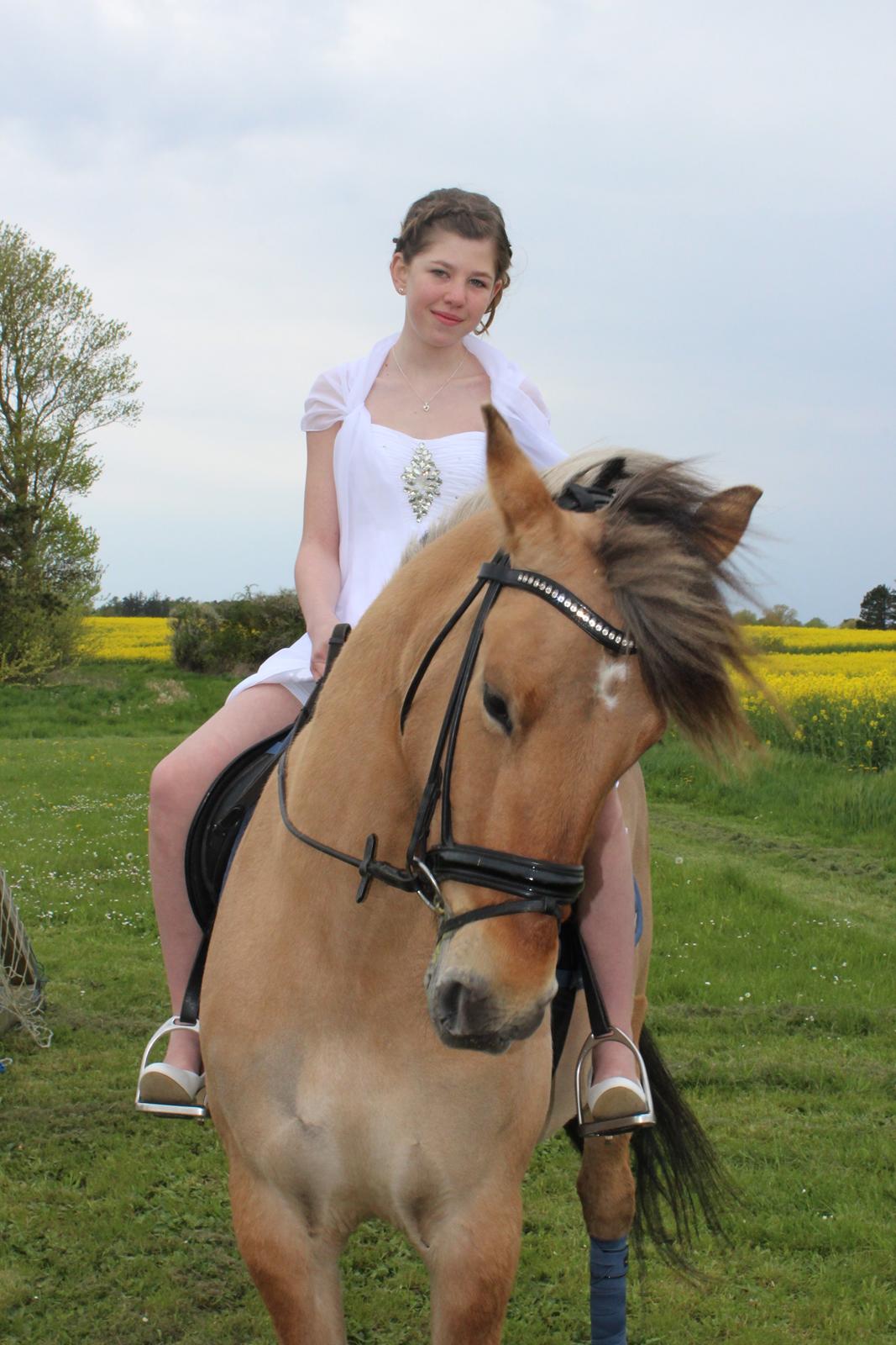 Anden særlig race Anne billede 19