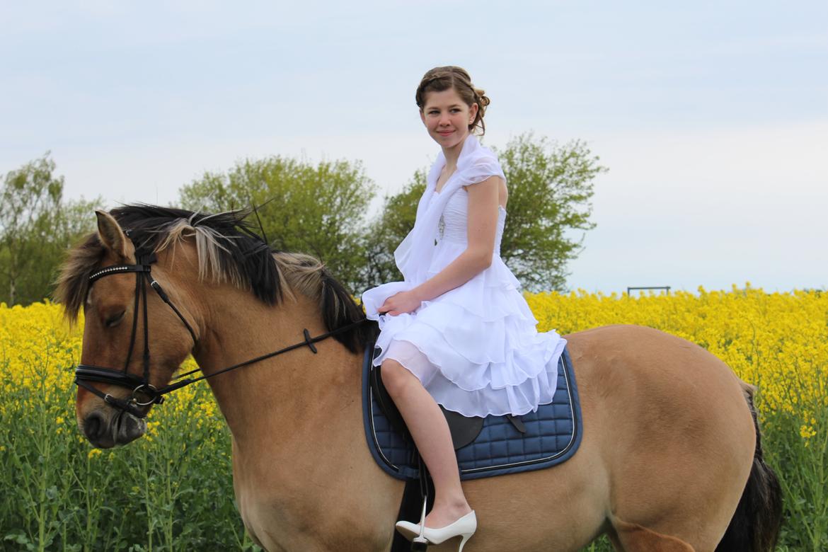 Anden særlig race Anne billede 20