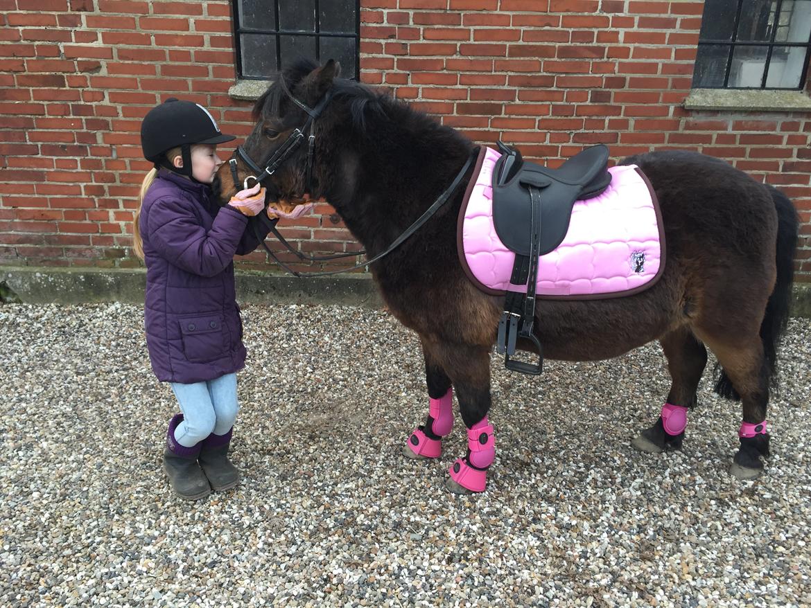 Anden særlig race Askepot billede 6