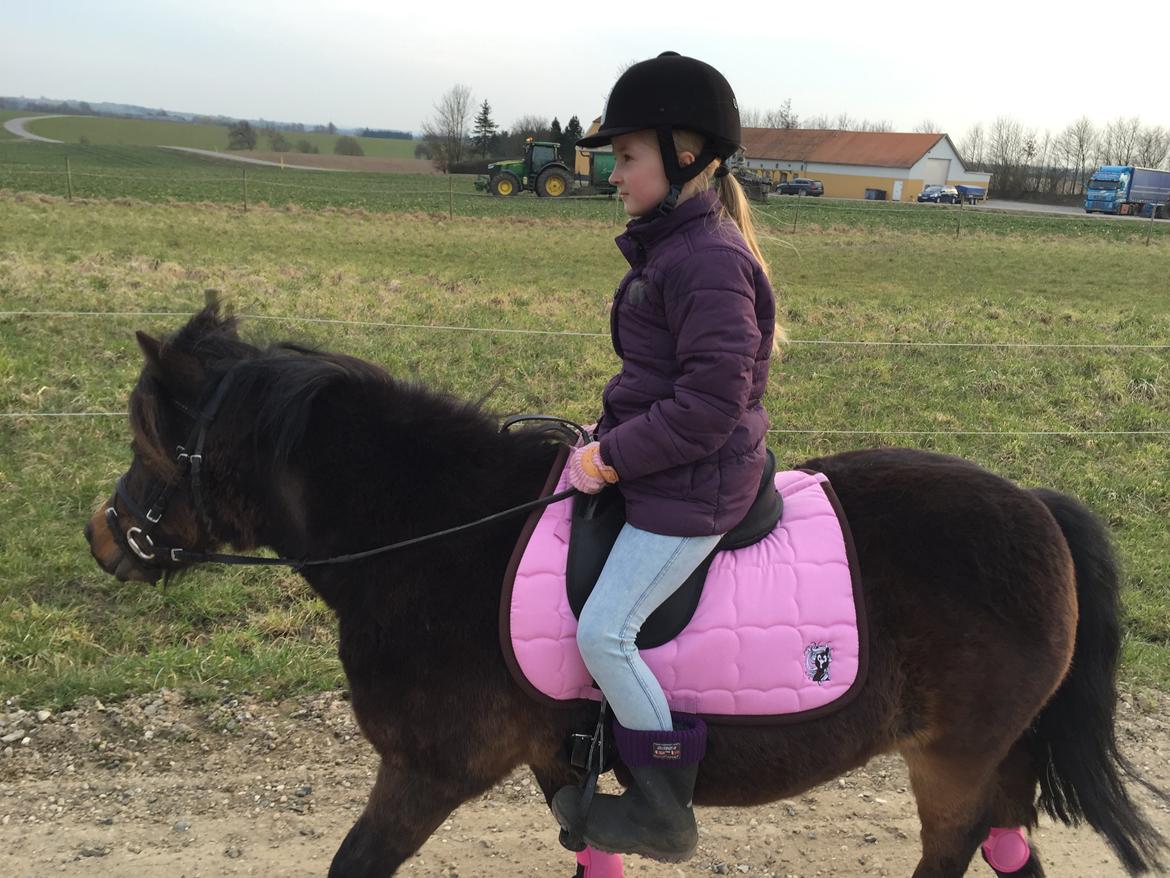 Anden særlig race Askepot billede 2