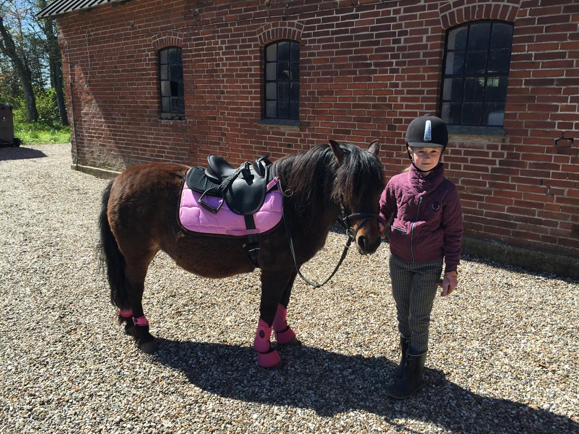 Anden særlig race Askepot billede 10