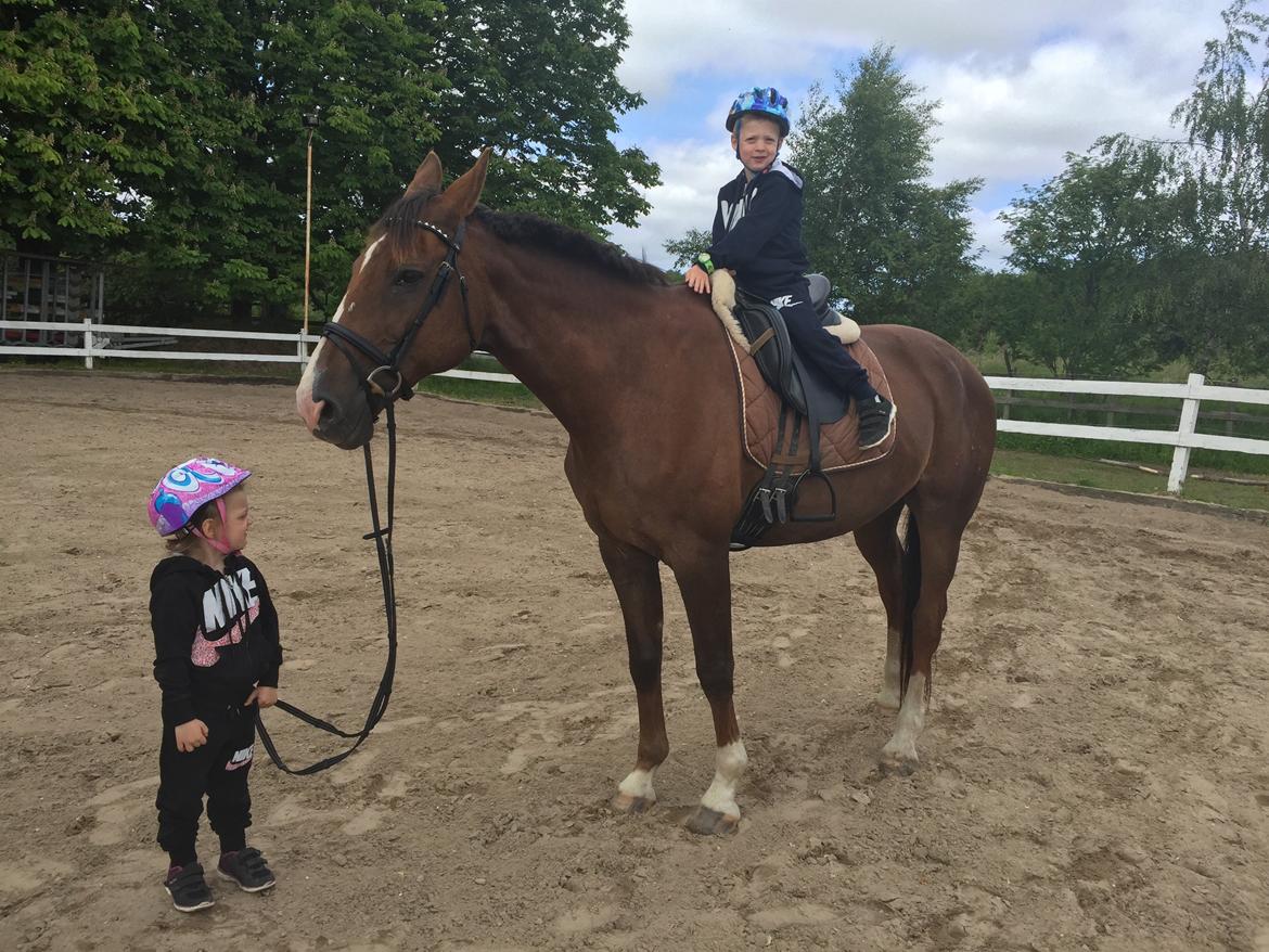 Westfaler Eskoria billede 12