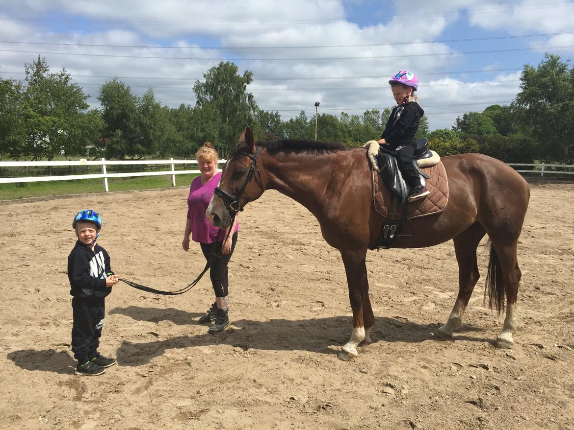 Westfaler Eskoria billede 15