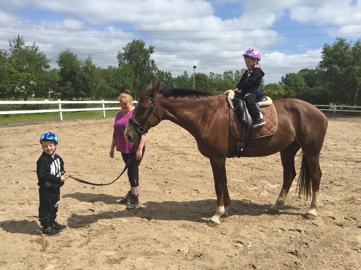 Westfaler Eskoria billede 17