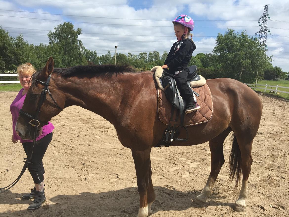 Westfaler Eskoria billede 18