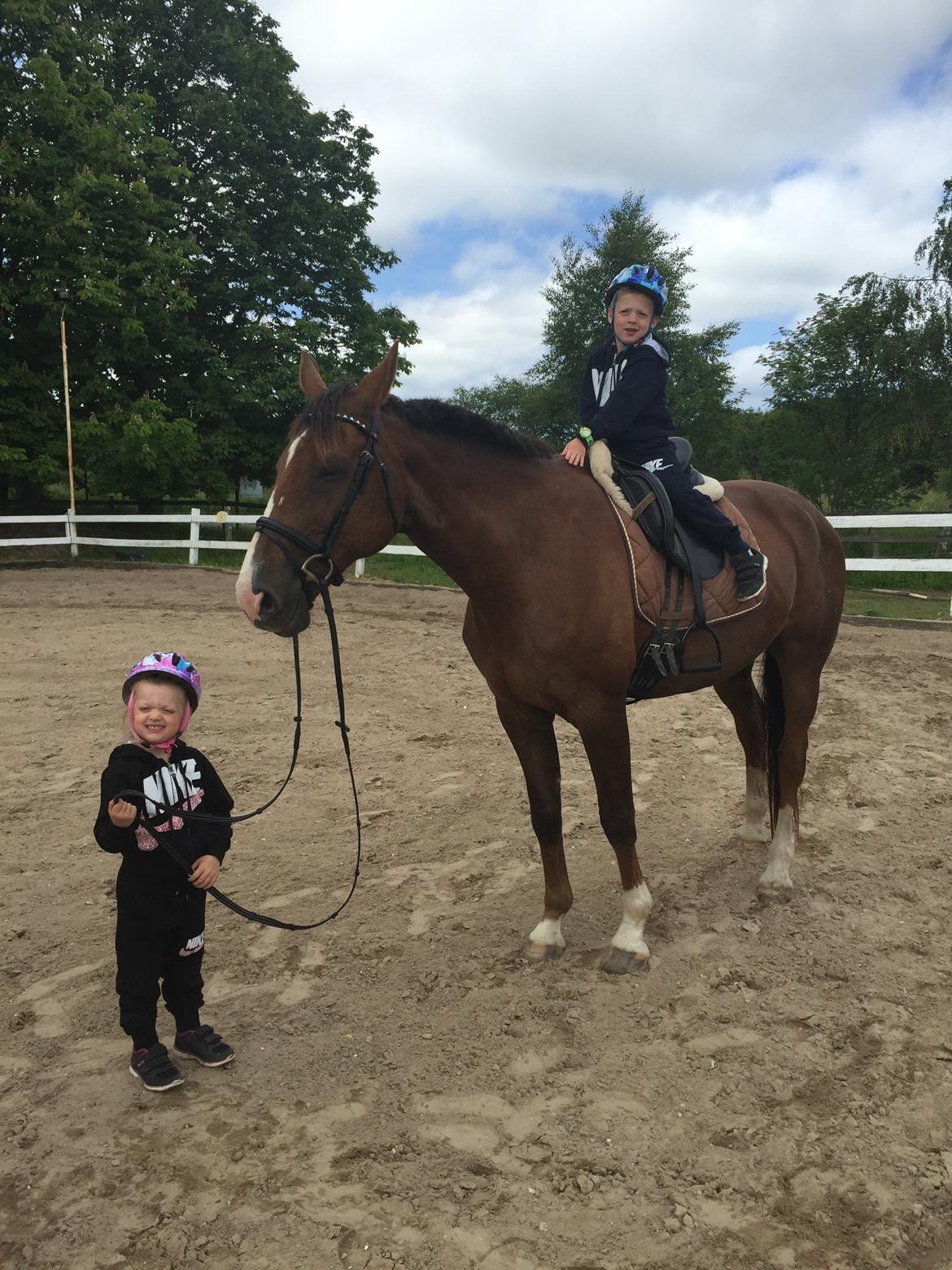 Westfaler Eskoria billede 16