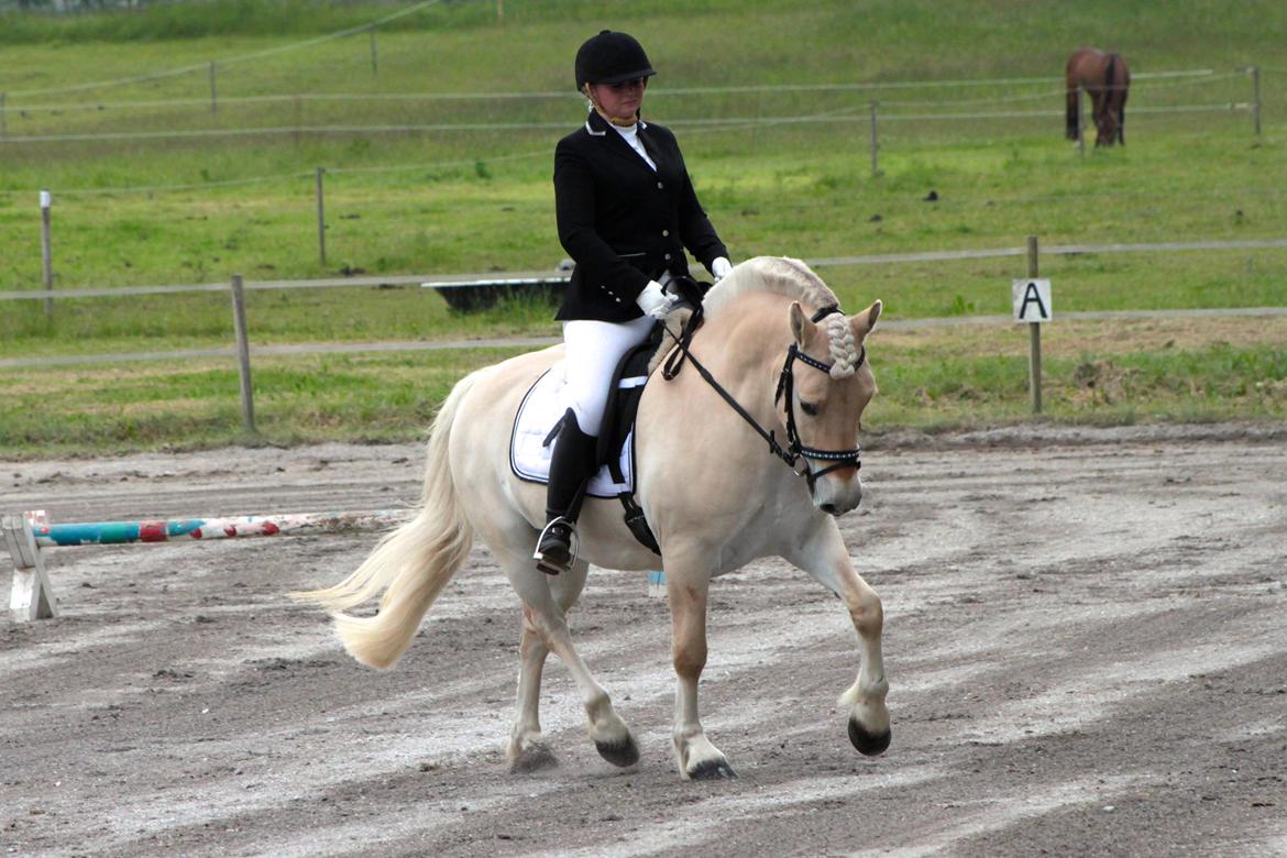 Fjordhest Højgaards Krokant - Stævne den 13 Juni. 2 plads med 69,2%. billede 1