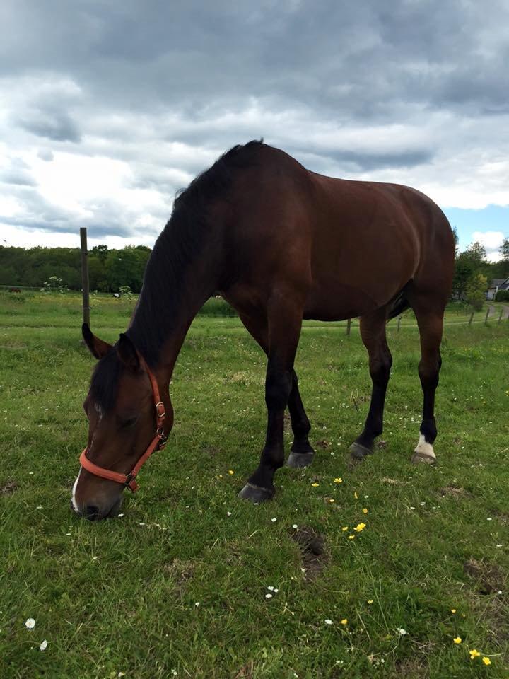 Oldenborg MADONNA billede 4
