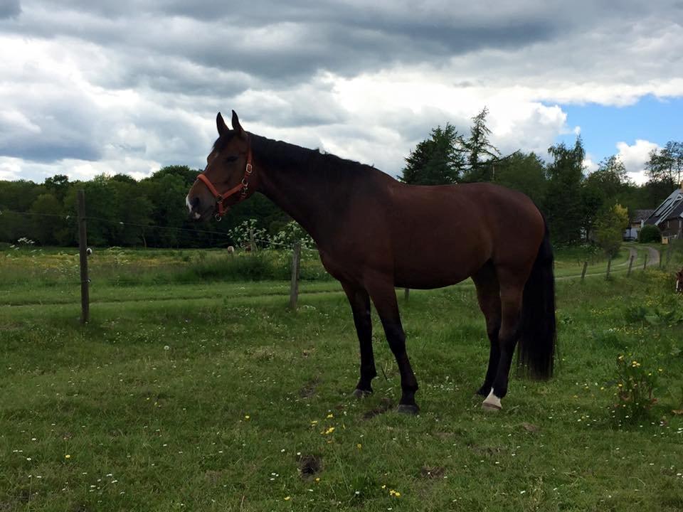 Oldenborg MADONNA billede 5