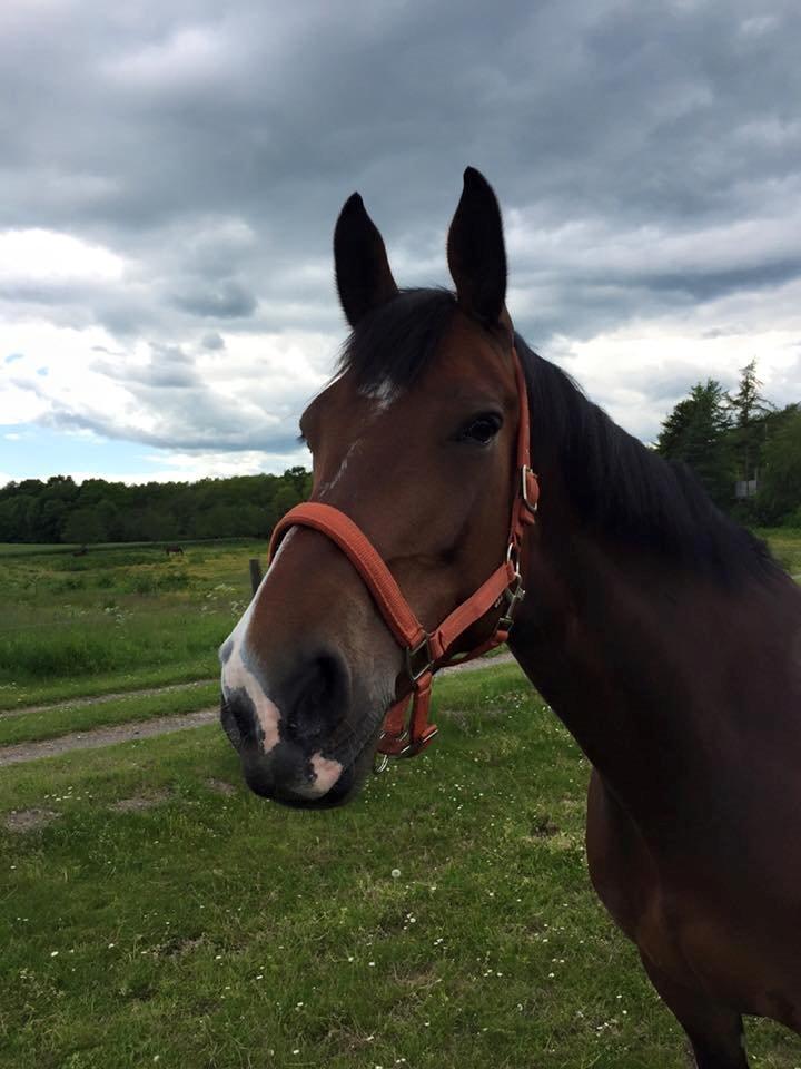 Oldenborg MADONNA billede 6