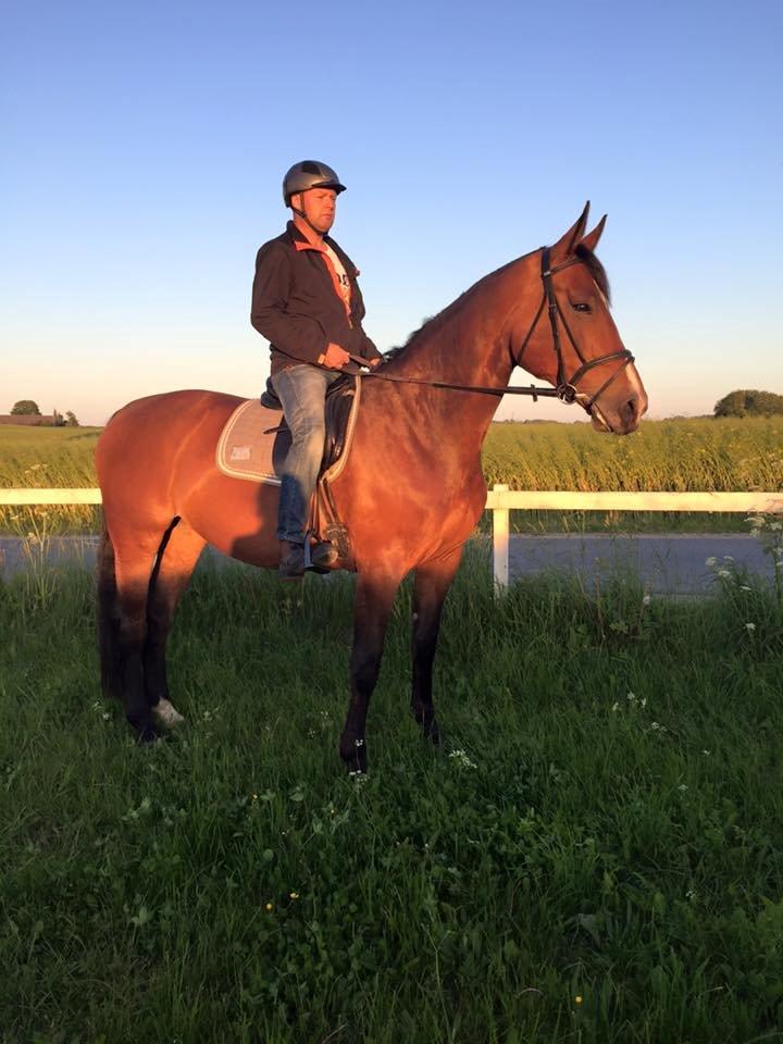 Oldenborg MADONNA billede 9